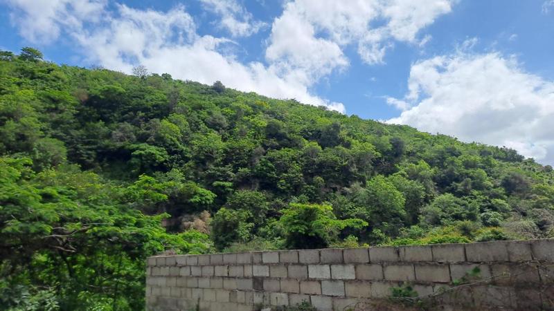 To Let 3 Bedroom Property for Rent in Umlazi KwaZulu-Natal