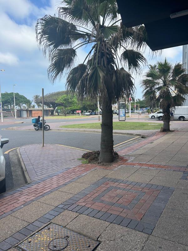 To Let 1 Bedroom Property for Rent in North Beach KwaZulu-Natal