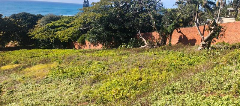 0 Bedroom Property for Sale in Umtentweni KwaZulu-Natal