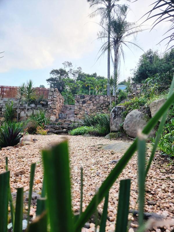 To Let 1 Bedroom Property for Rent in Westville KwaZulu-Natal
