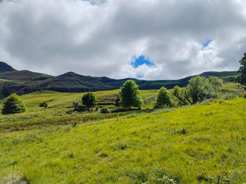0 Bedroom Property for Sale in Underberg KwaZulu-Natal