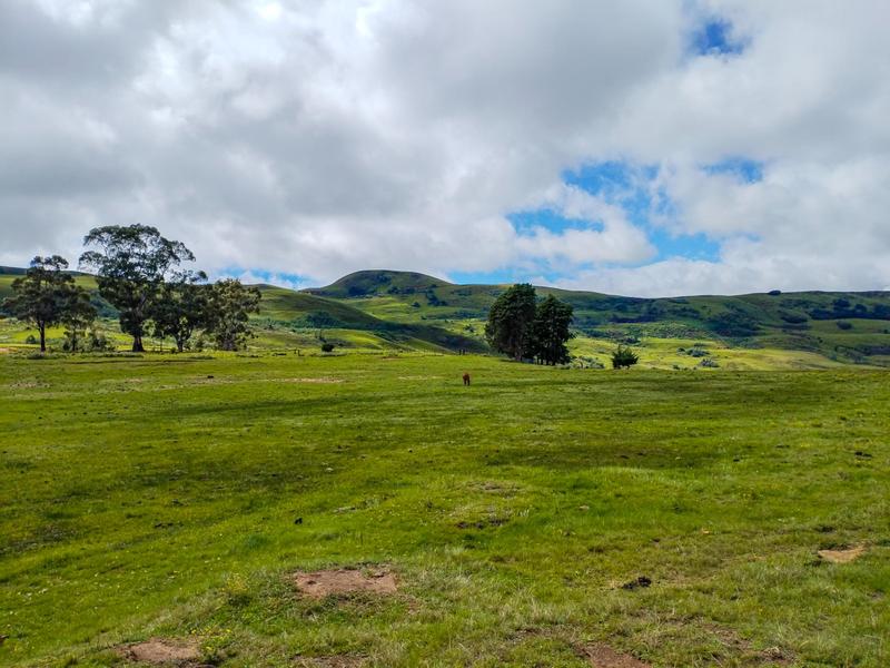 0 Bedroom Property for Sale in Underberg KwaZulu-Natal