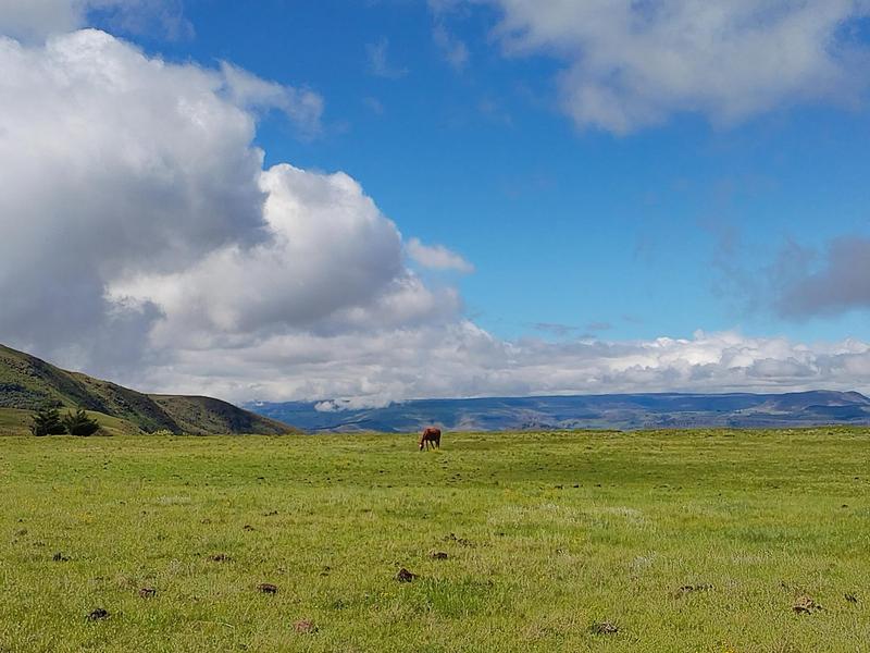 0 Bedroom Property for Sale in Underberg KwaZulu-Natal