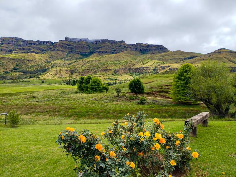 0 Bedroom Property for Sale in Underberg KwaZulu-Natal