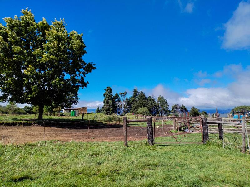 0 Bedroom Property for Sale in Underberg KwaZulu-Natal