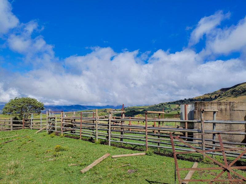0 Bedroom Property for Sale in Underberg KwaZulu-Natal