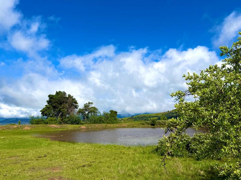 0 Bedroom Property for Sale in Underberg KwaZulu-Natal