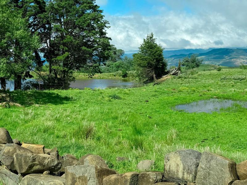 0 Bedroom Property for Sale in Underberg KwaZulu-Natal