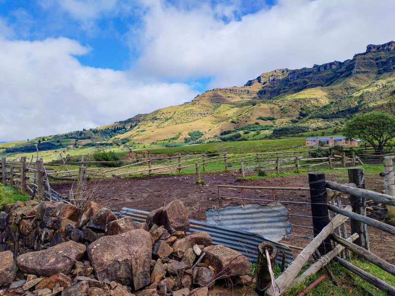 0 Bedroom Property for Sale in Underberg KwaZulu-Natal