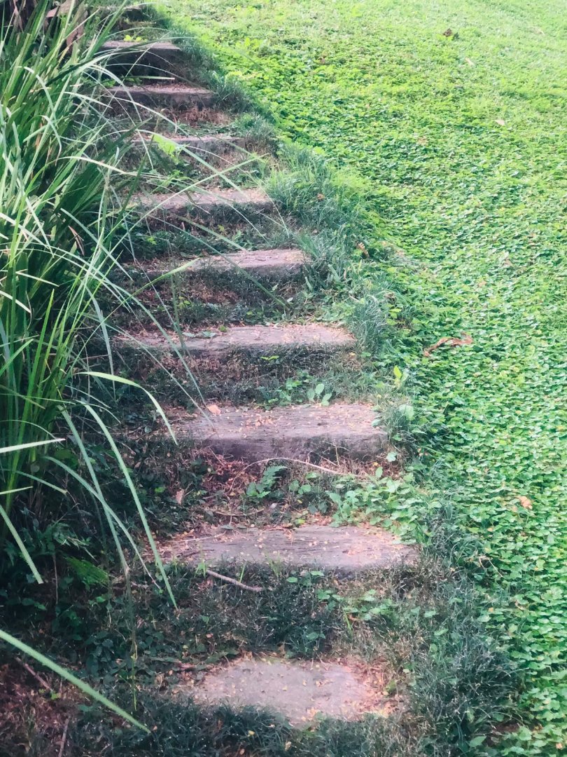 To Let 1 Bedroom Property for Rent in Kloof KwaZulu-Natal