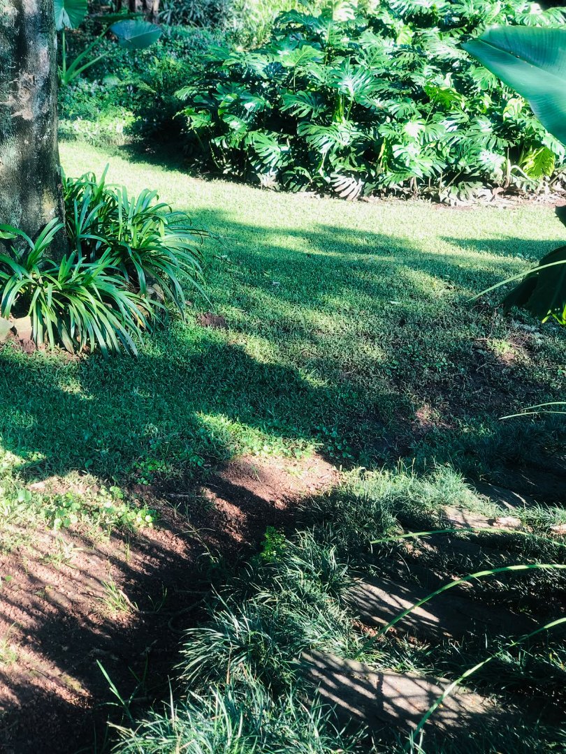 To Let 1 Bedroom Property for Rent in Kloof KwaZulu-Natal