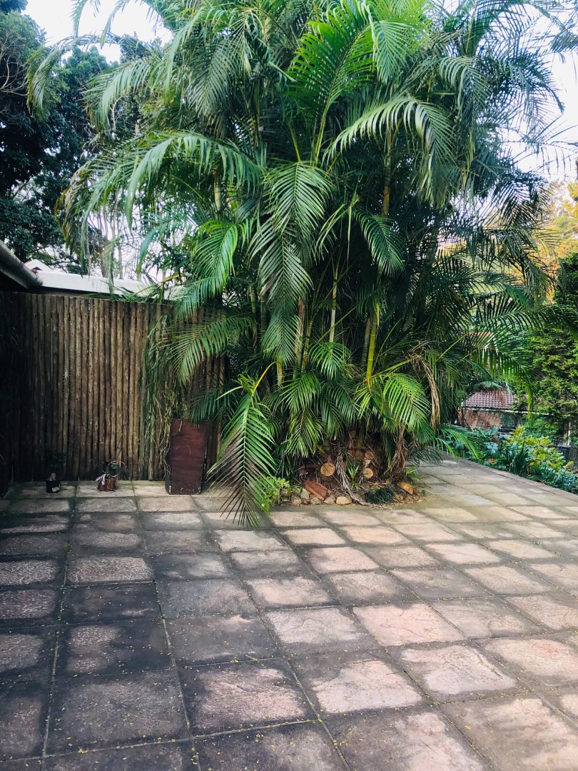 To Let 1 Bedroom Property for Rent in Kloof KwaZulu-Natal