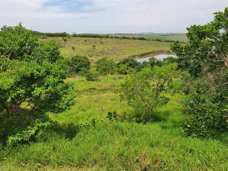 0 Bedroom Property for Sale in Palm Lakes Estate KwaZulu-Natal