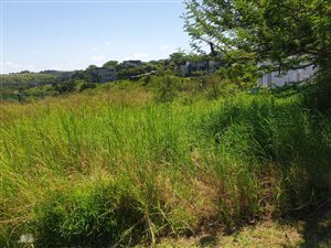 0 Bedroom Property for Sale in Palm Lakes Estate KwaZulu-Natal