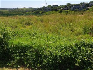 0 Bedroom Property for Sale in Palm Lakes Estate KwaZulu-Natal