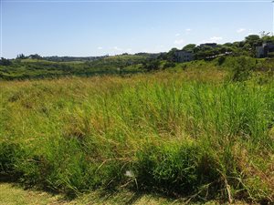 0 Bedroom Property for Sale in Palm Lakes Estate KwaZulu-Natal