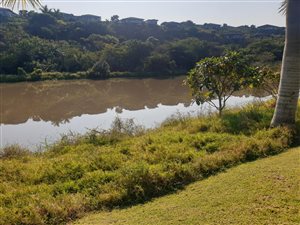 0 Bedroom Property for Sale in Palm Lakes Estate KwaZulu-Natal