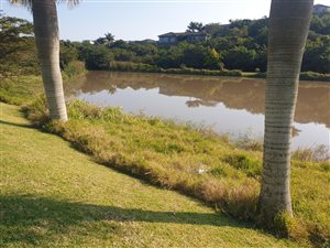 0 Bedroom Property for Sale in Palm Lakes Estate KwaZulu-Natal