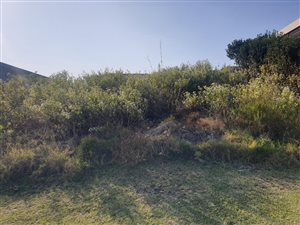 0 Bedroom Property for Sale in Palm Lakes Estate KwaZulu-Natal