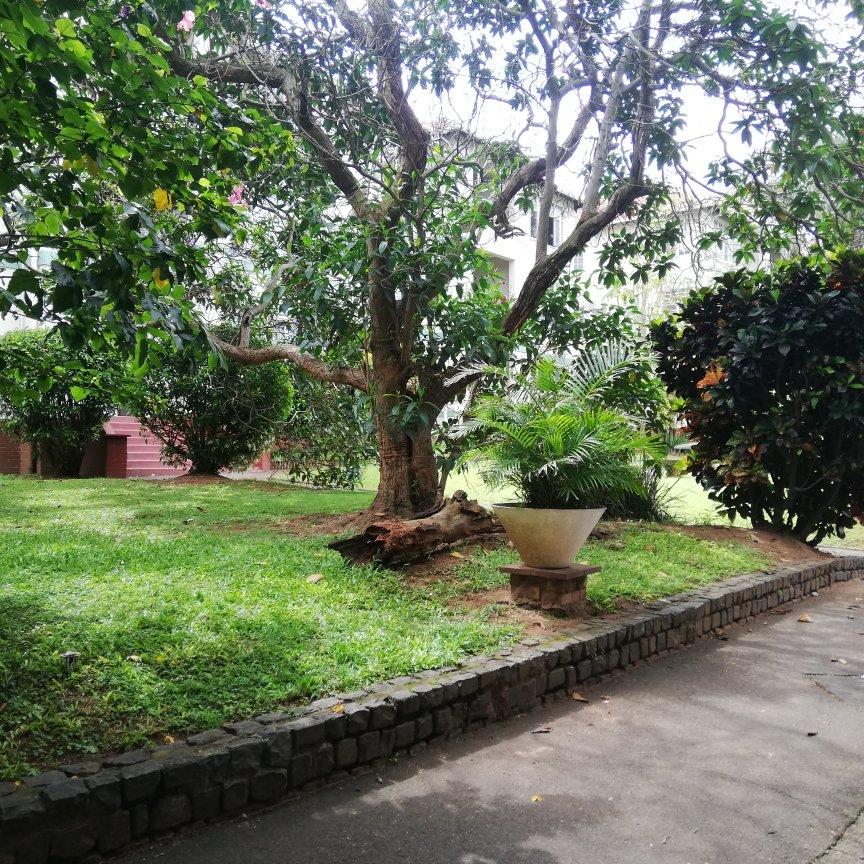 1 Bedroom Property for Sale in Berea KwaZulu-Natal