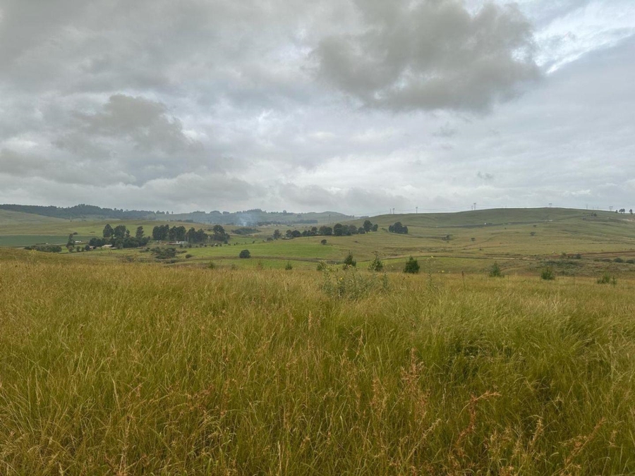 Commercial Property for Sale in Lions River KwaZulu-Natal