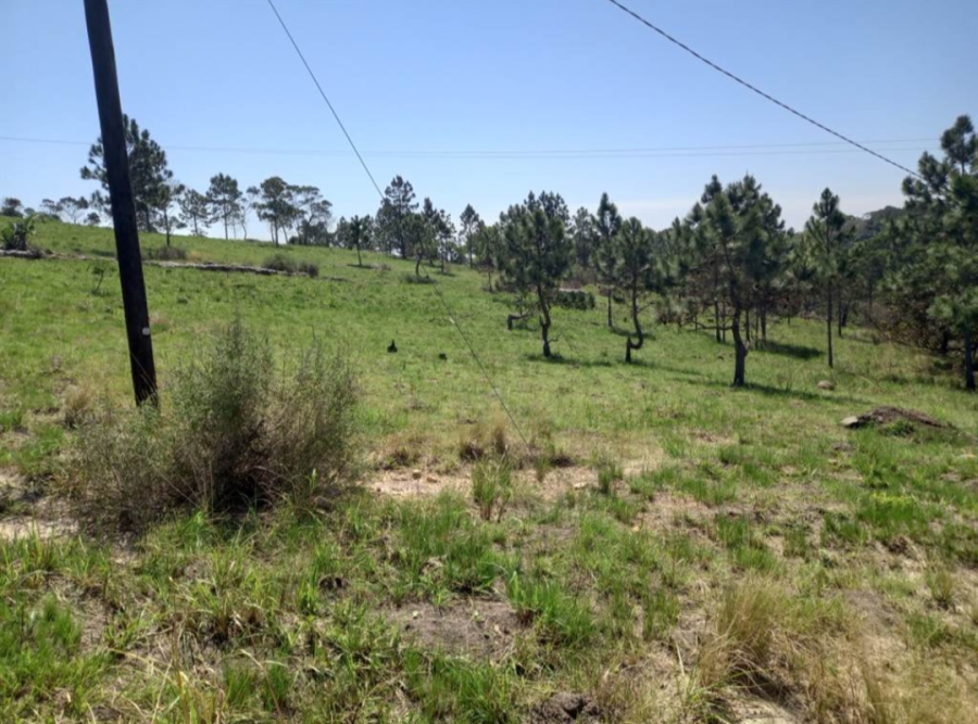 0 Bedroom Property for Sale in Margate KwaZulu-Natal