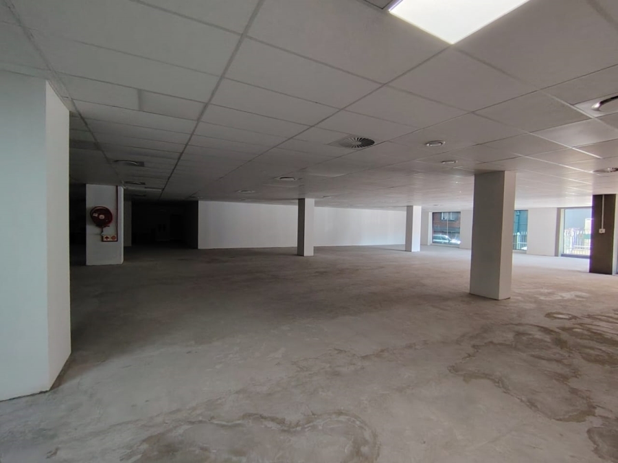 To Let commercial Property for Rent in Musgrave KwaZulu-Natal