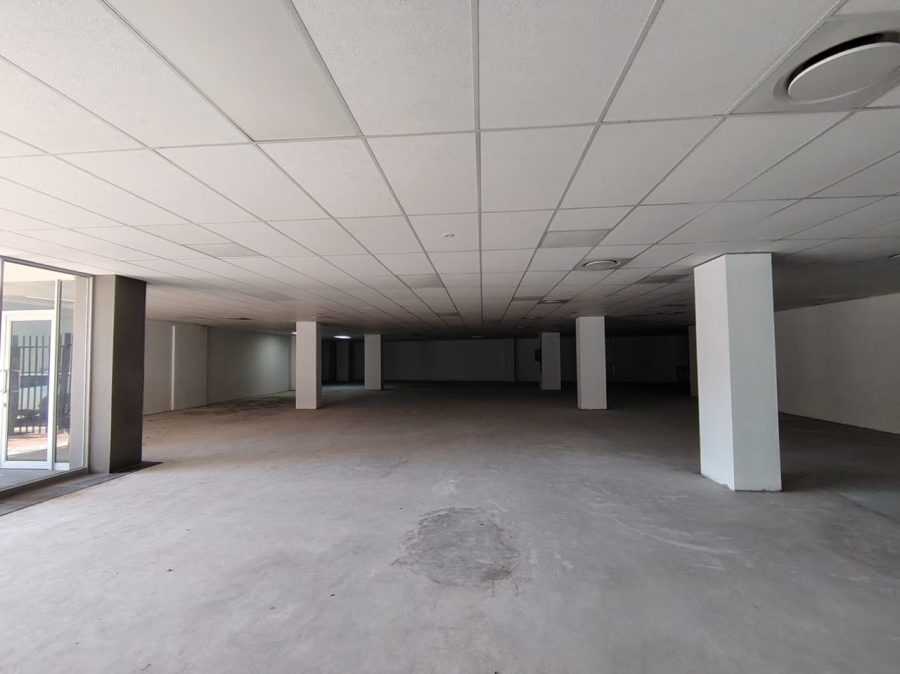 To Let commercial Property for Rent in Musgrave KwaZulu-Natal