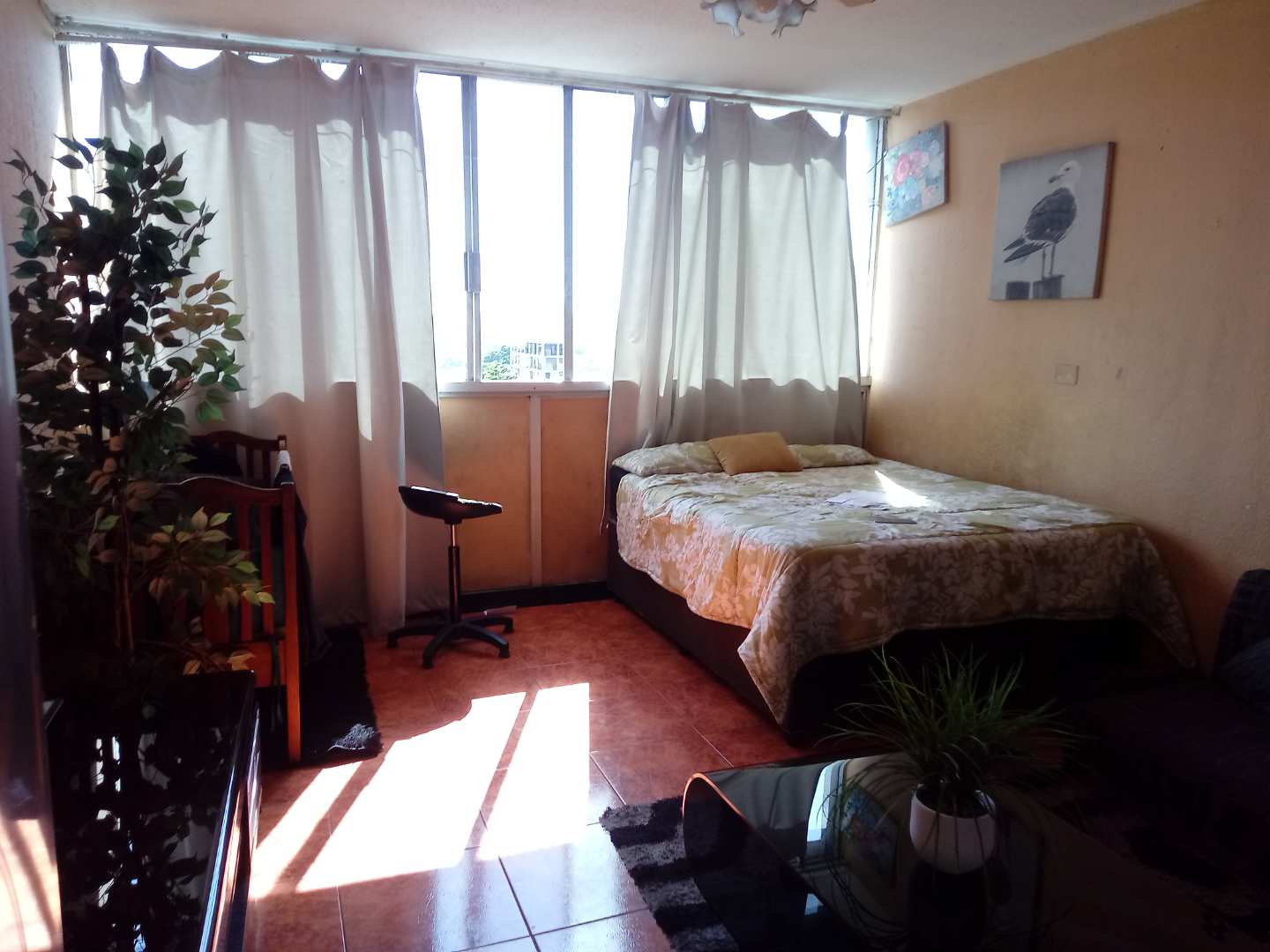 1 Bedroom Property for Sale in Bulwer KwaZulu-Natal