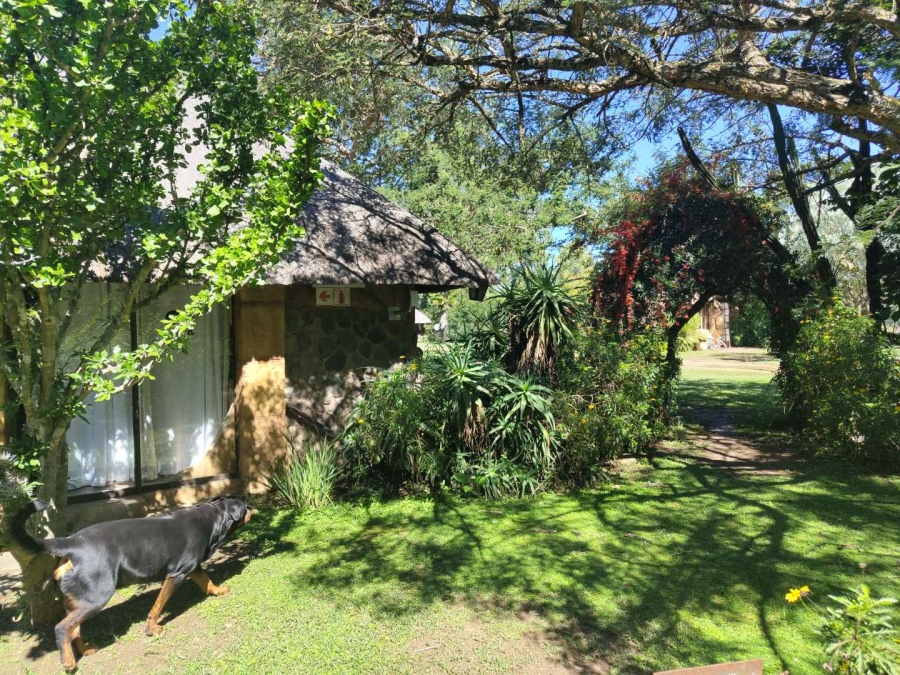 To Let 0 Bedroom Property for Rent in Dundee KwaZulu-Natal