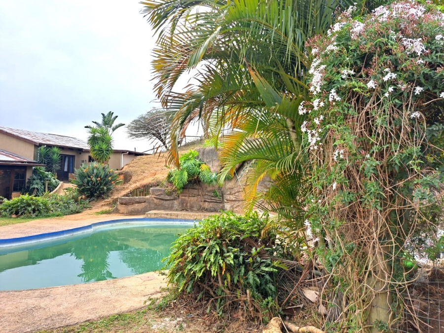 To Let 1 Bedroom Property for Rent in Peacevale KwaZulu-Natal