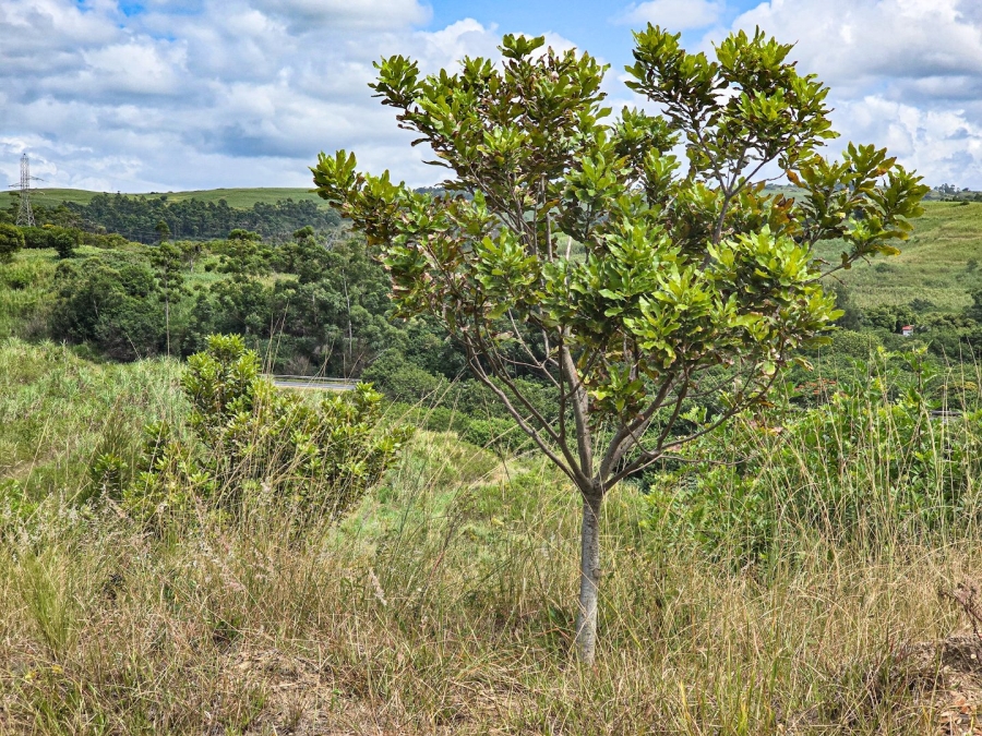  Bedroom Property for Sale in Sea Park KwaZulu-Natal