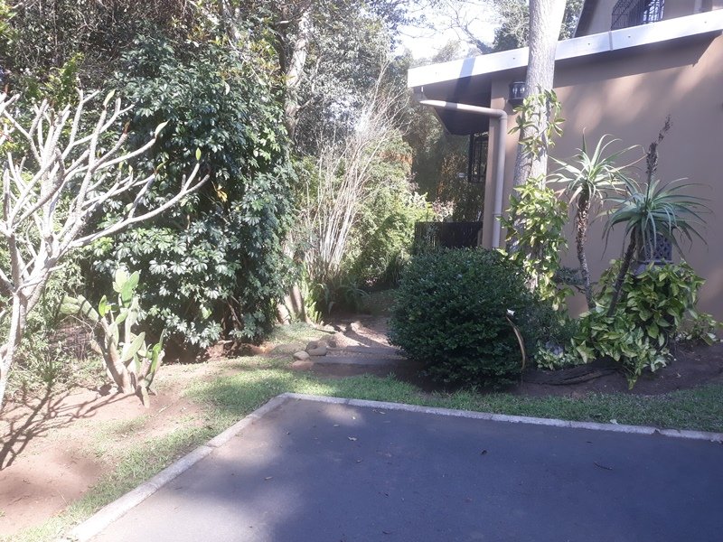 To Let 1 Bedroom Property for Rent in Gillitts KwaZulu-Natal