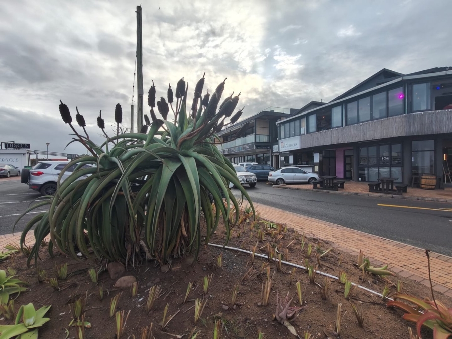 Commercial Property for Sale in Compensation Beach KwaZulu-Natal