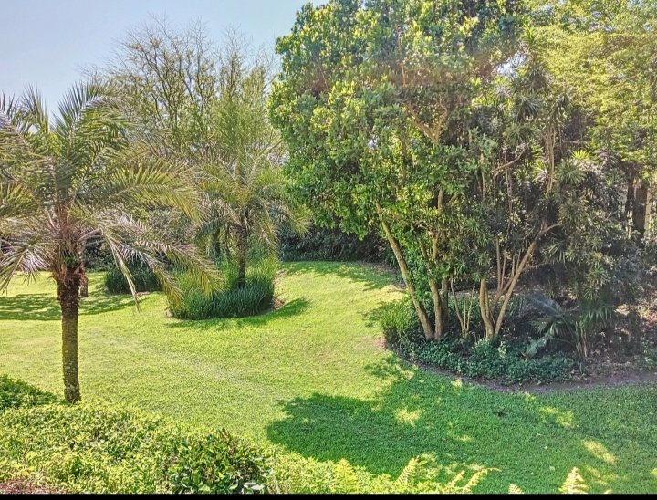 3 Bedroom Property for Sale in Willard Beach KwaZulu-Natal