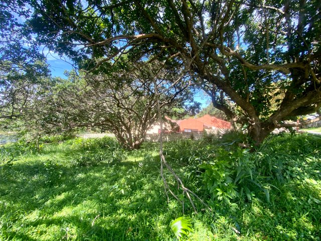  Bedroom Property for Sale in Pennington KwaZulu-Natal