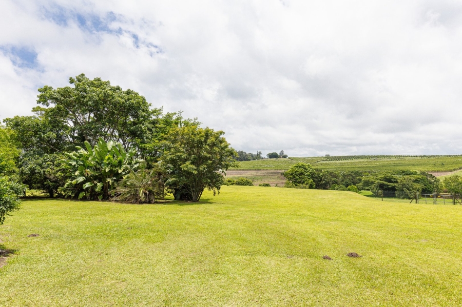 24 Bedroom Property for Sale in Paddock KwaZulu-Natal