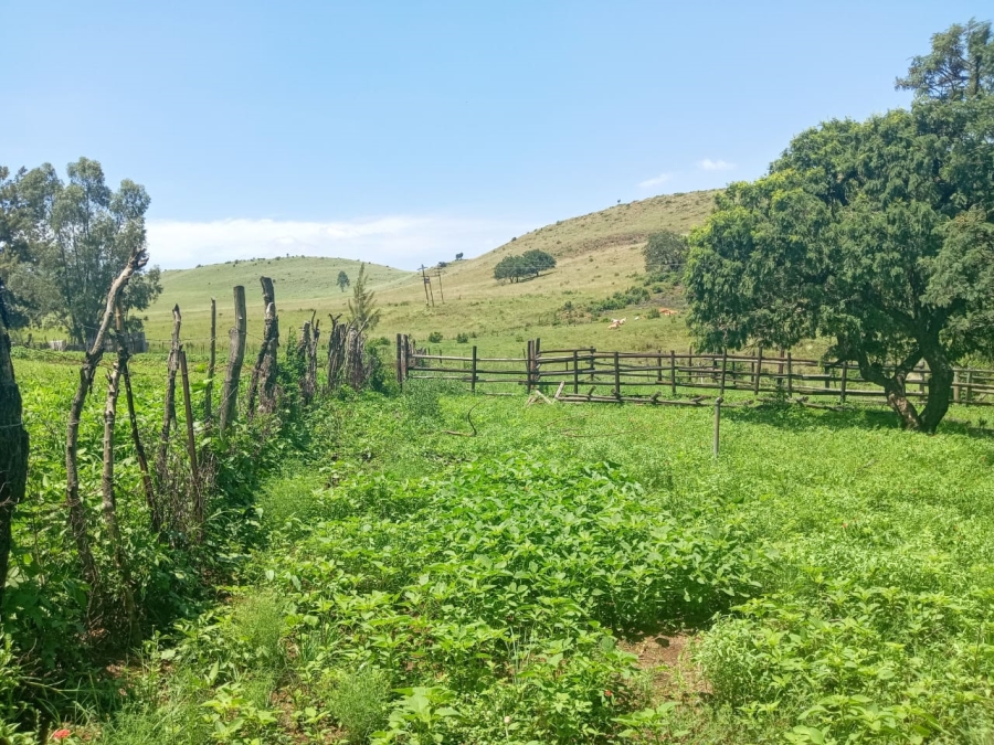 5 Bedroom Property for Sale in Newcastle Rural KwaZulu-Natal