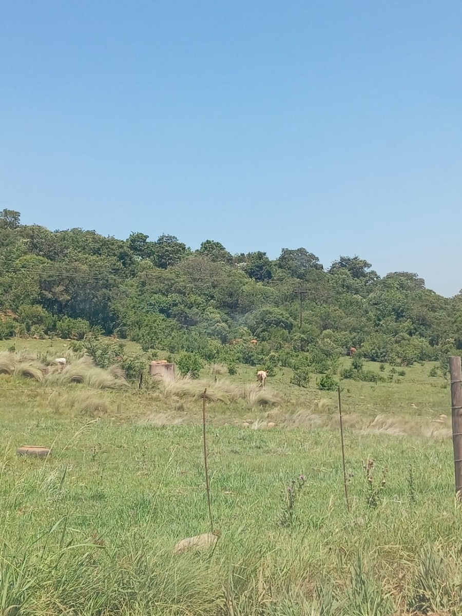 5 Bedroom Property for Sale in Newcastle Rural KwaZulu-Natal