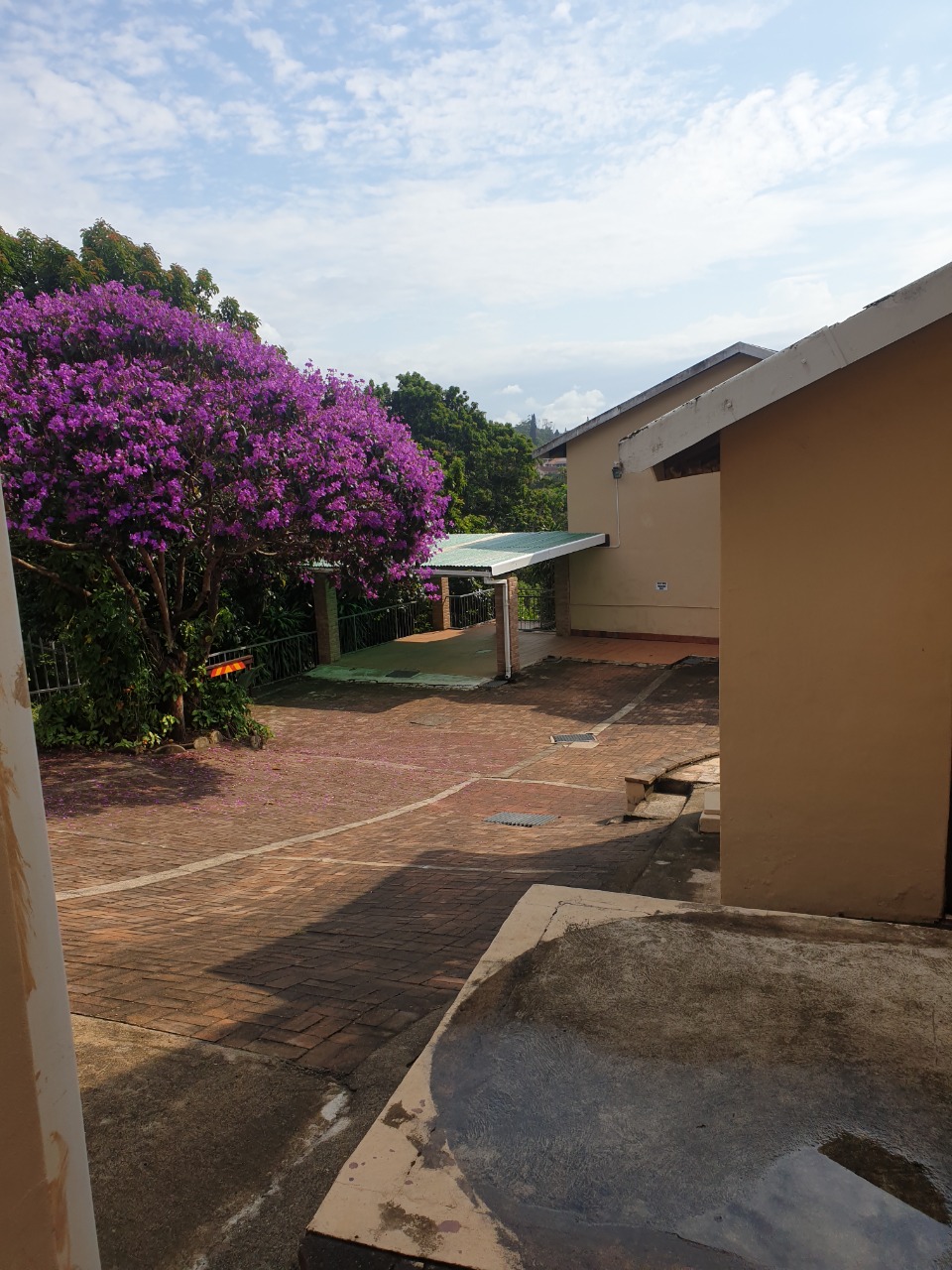 17 Bedroom Property for Sale in Margate KwaZulu-Natal