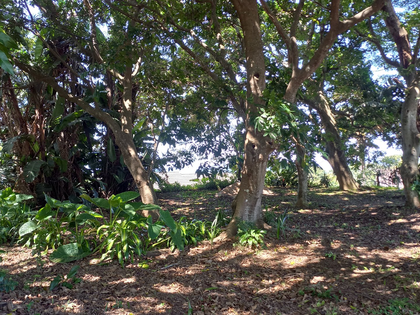 Commercial Property for Sale in Umtentweni KwaZulu-Natal