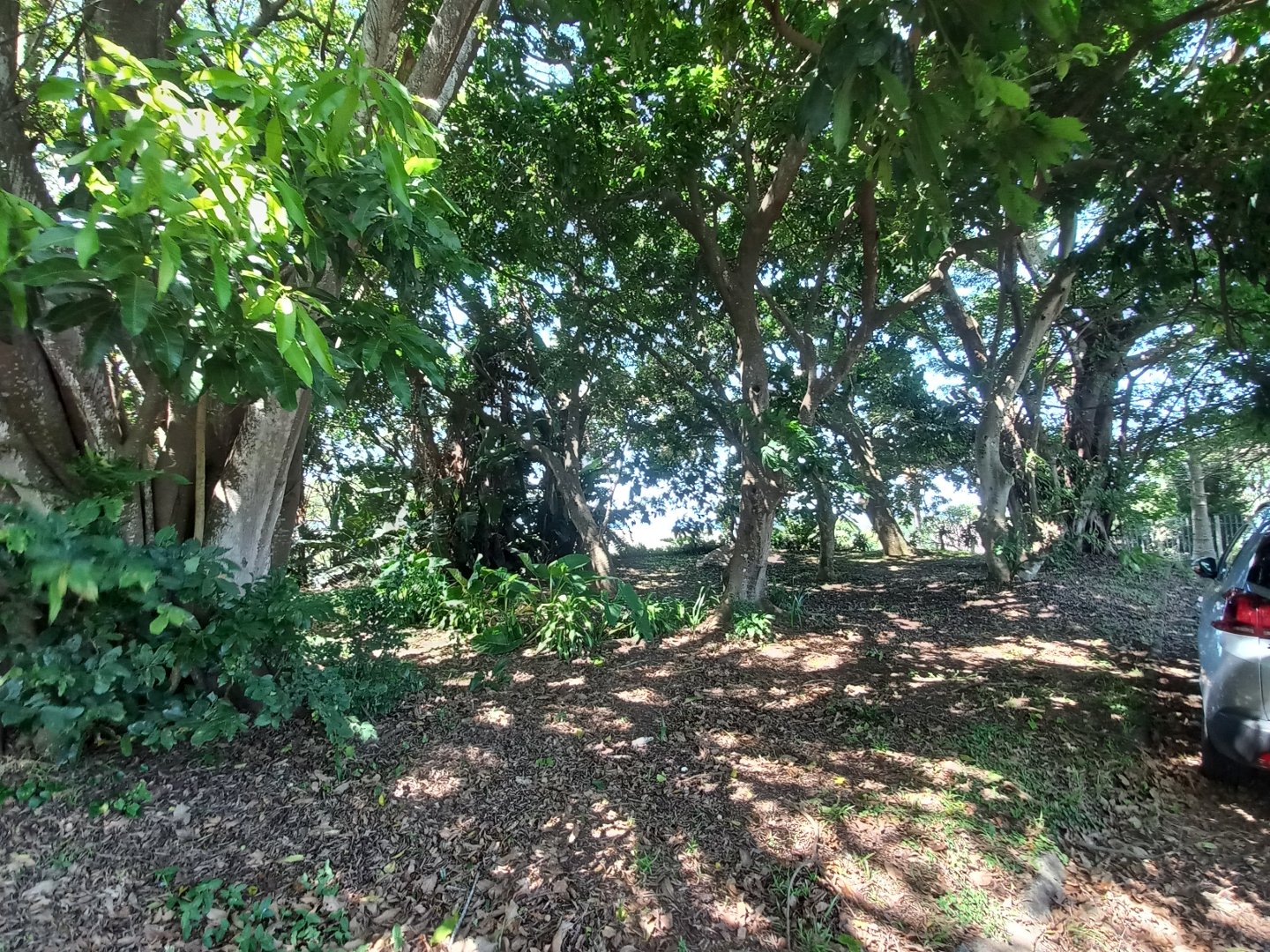 Commercial Property for Sale in Umtentweni KwaZulu-Natal