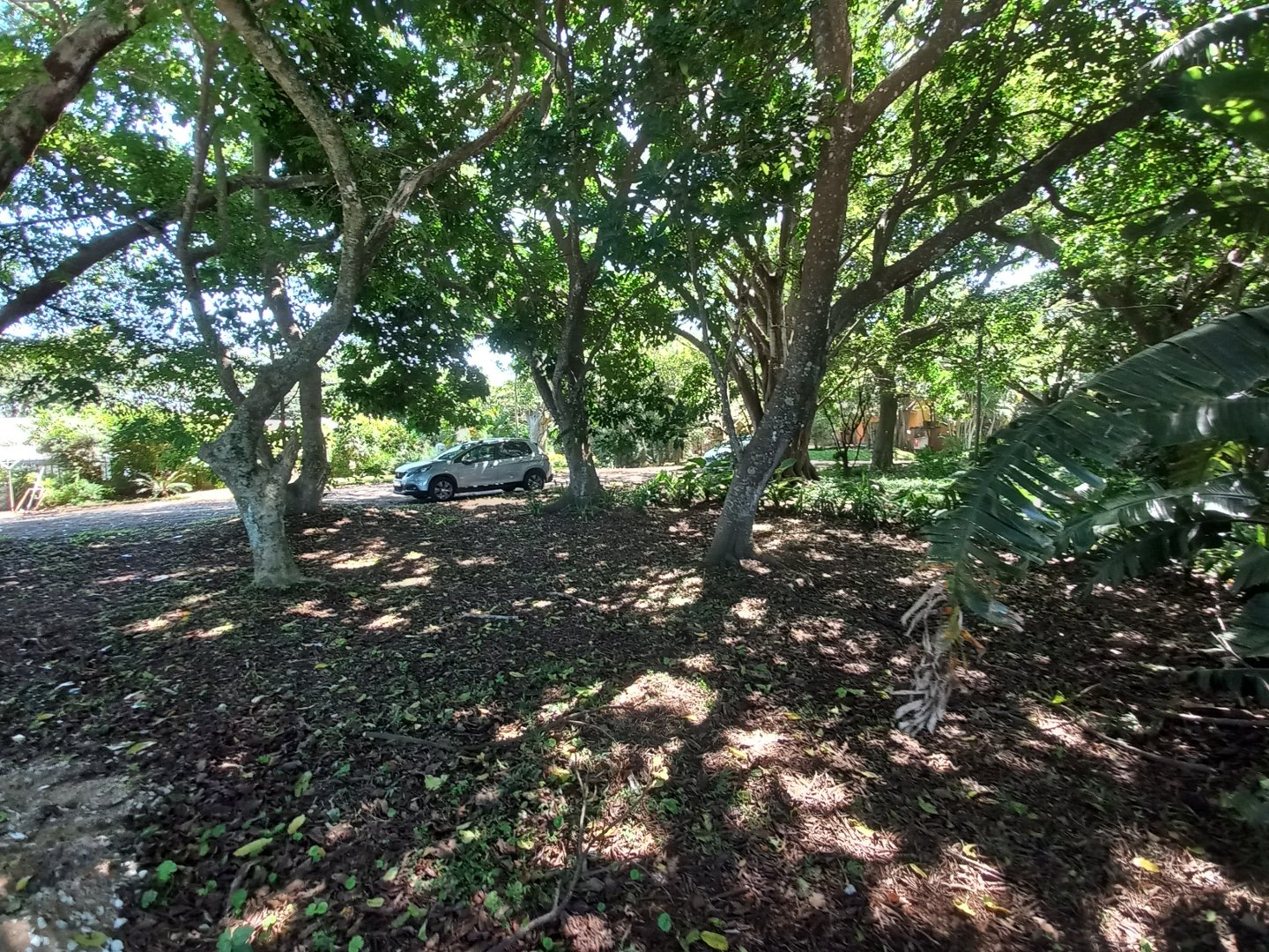 Commercial Property for Sale in Umtentweni KwaZulu-Natal