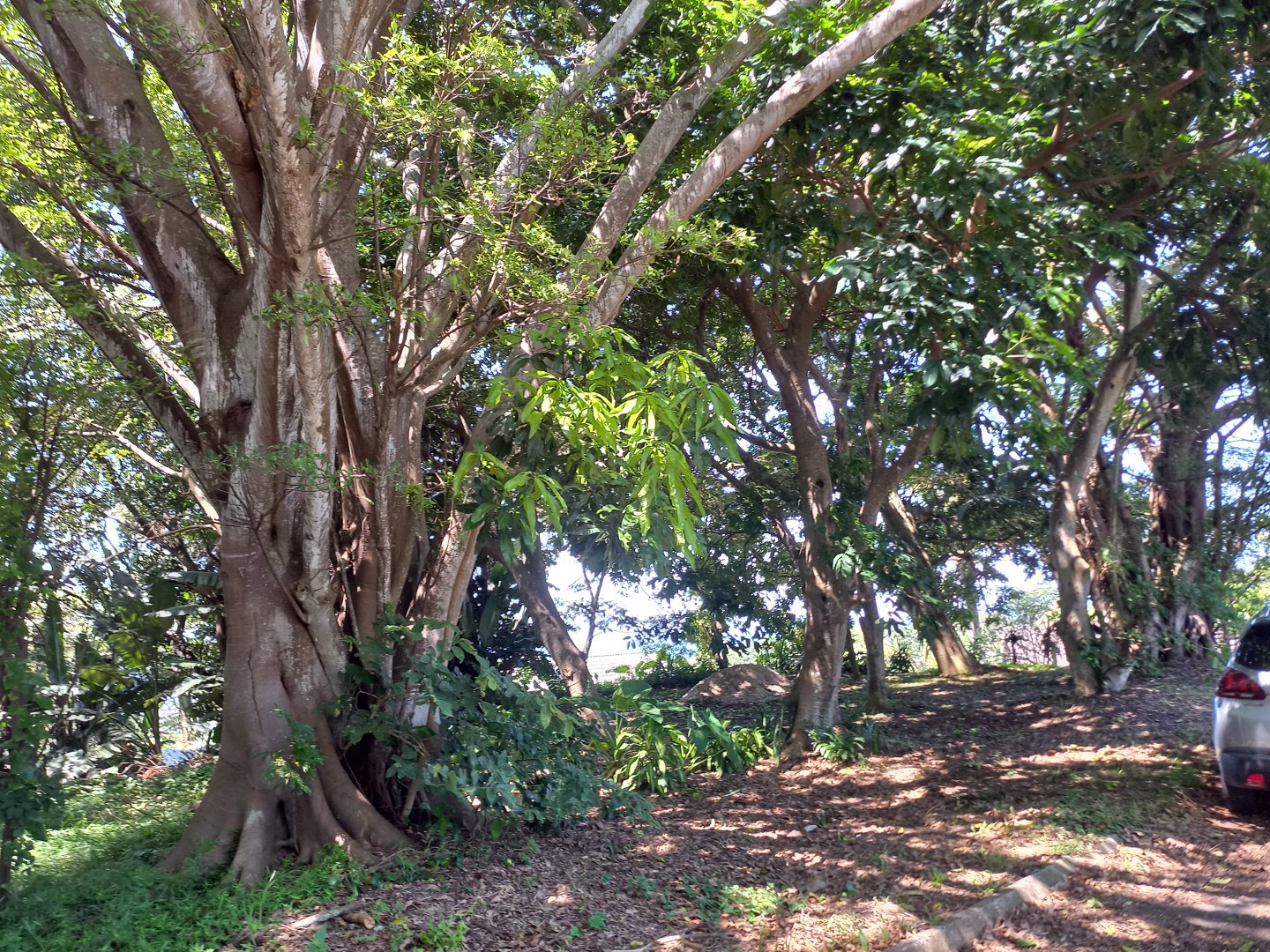Commercial Property for Sale in Umtentweni KwaZulu-Natal