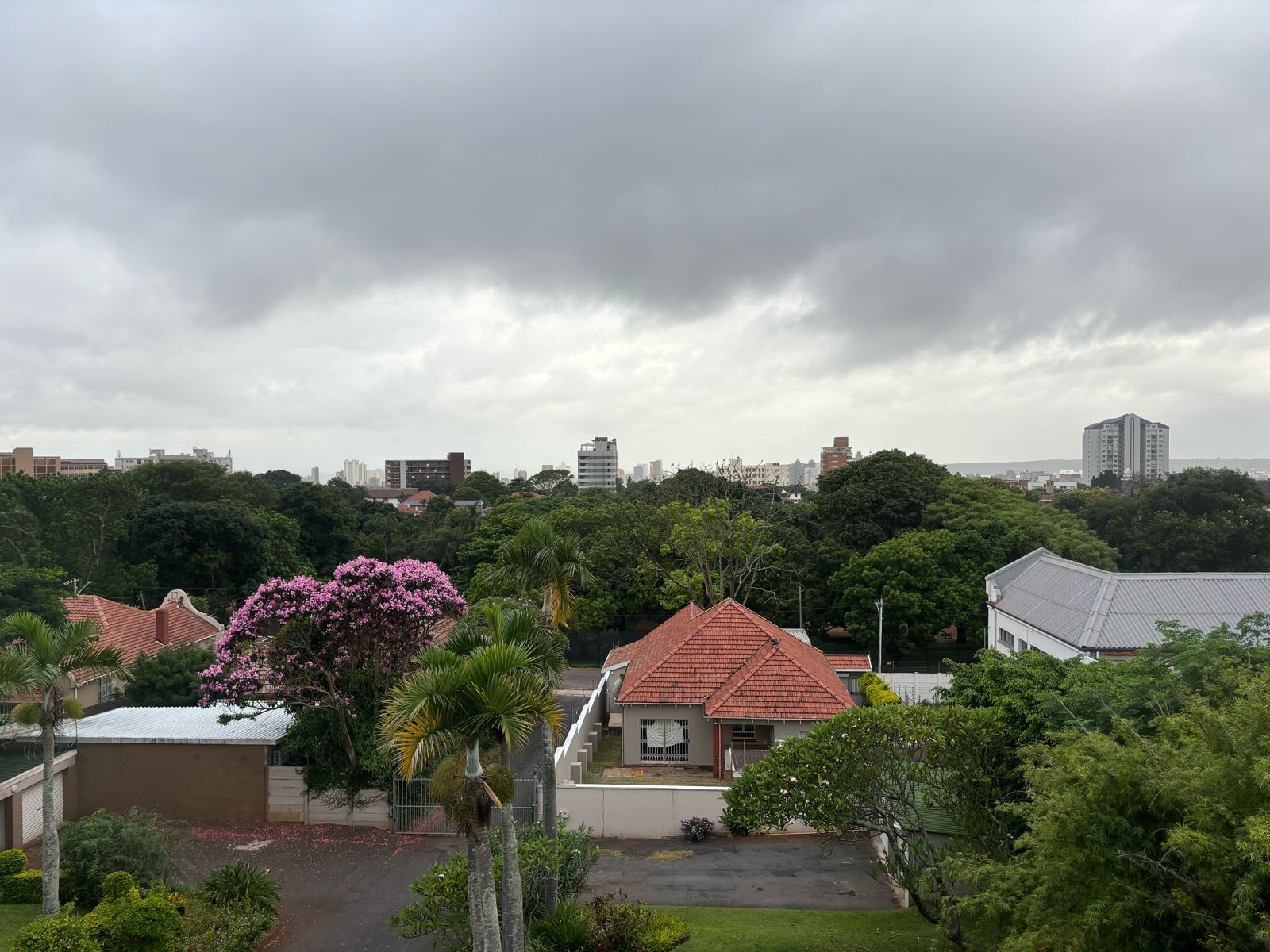 To Let 2 Bedroom Property for Rent in Musgrave KwaZulu-Natal