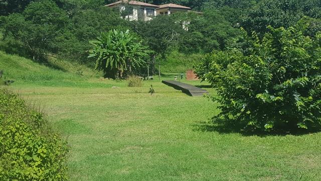 5 Bedroom Property for Sale in Kloof KwaZulu-Natal