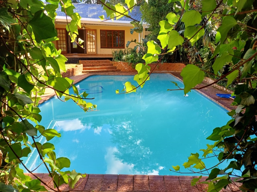 4 Bedroom Property for Sale in Kildare KwaZulu-Natal