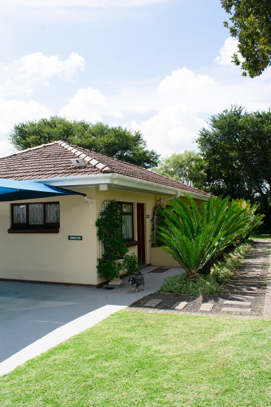 12 Bedroom Property for Sale in Dundee KwaZulu-Natal