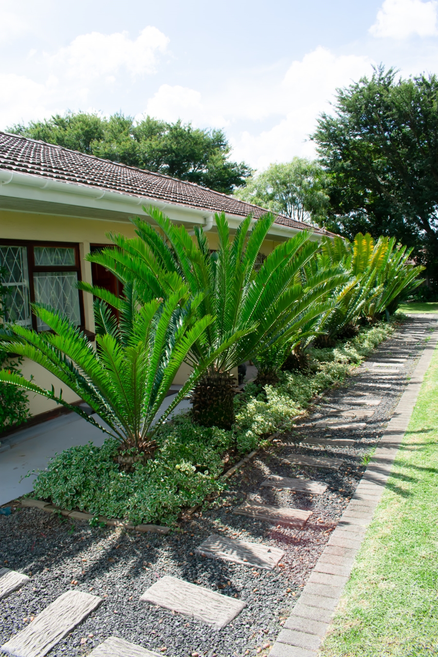 12 Bedroom Property for Sale in Dundee KwaZulu-Natal