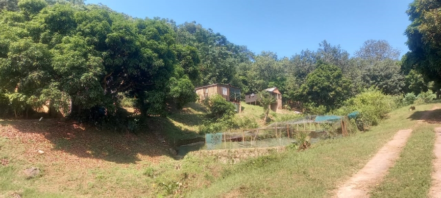 19 Bedroom Property for Sale in Escombe KwaZulu-Natal